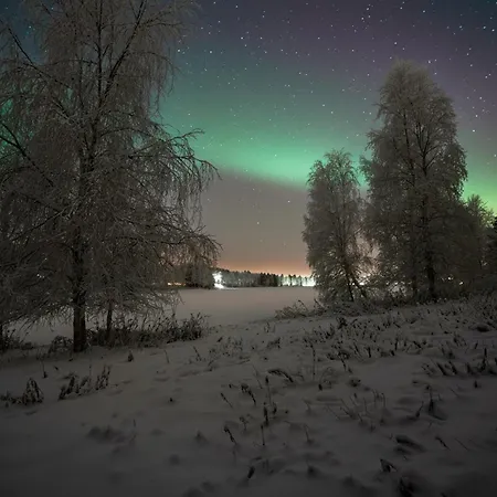 Arctic Dream * Рованиеми