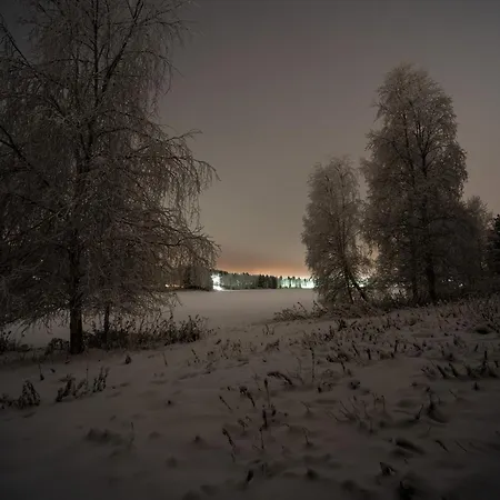 Arctic Dream * روفانييمي