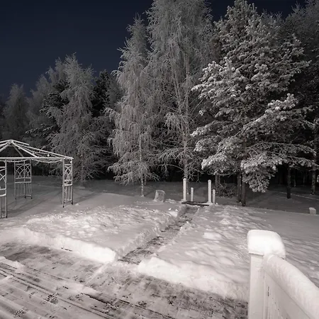 Arctic Dream فيلة روفانييمي