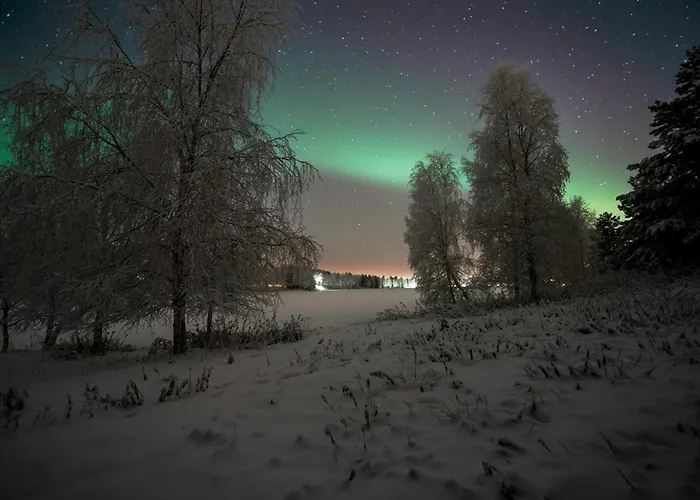 Arctic Dream * Рованиеми