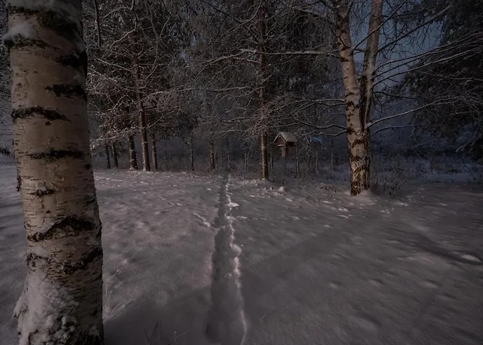 Arctic Dream Villa *