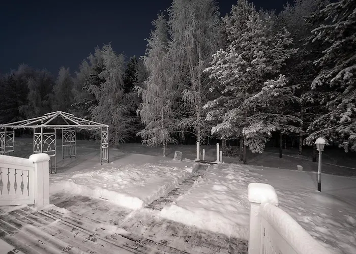 Arctic Dream Вилла Рованиеми